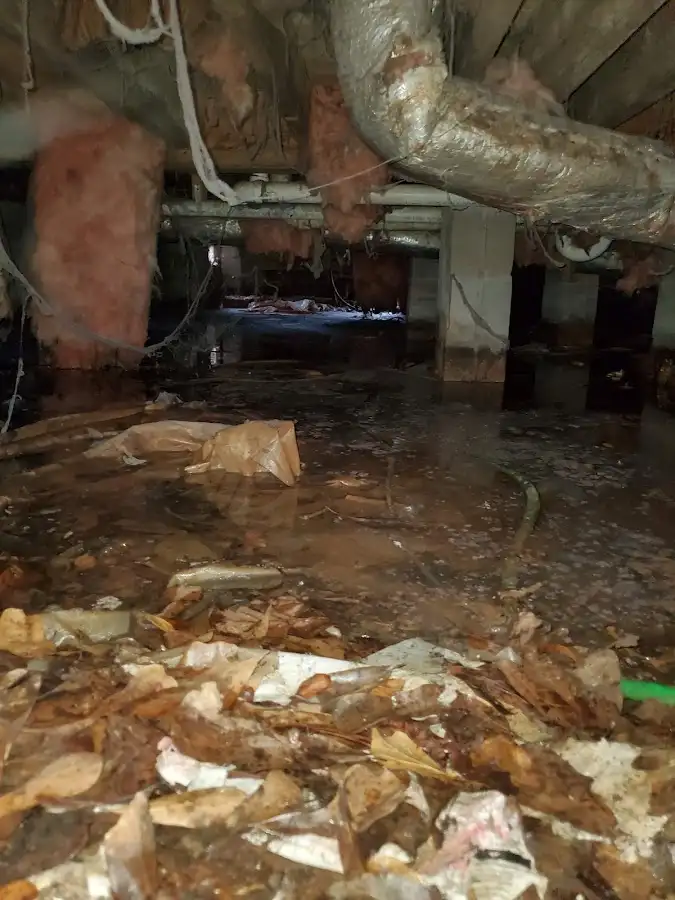 Crawl space flood assessment for Leak Detection & Repair in Peru